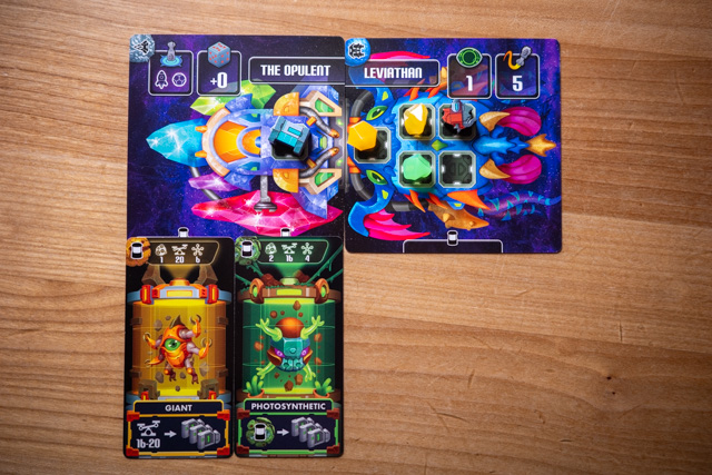 Zweikartenraumschiff